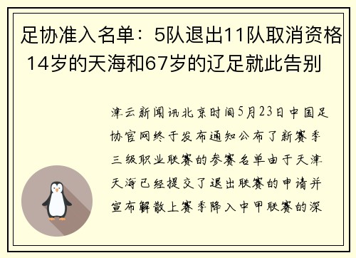 足协准入名单：5队退出11队取消资格 14岁的天海和67岁的辽足就此告别